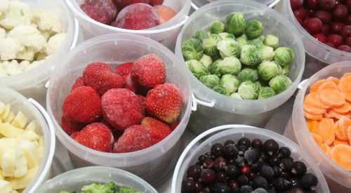 Consejos para conservar mejor y por más tiempo tus frutas y verduras