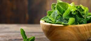 Plantas para decorar tu cocina y que también puedes usar en tus platillos