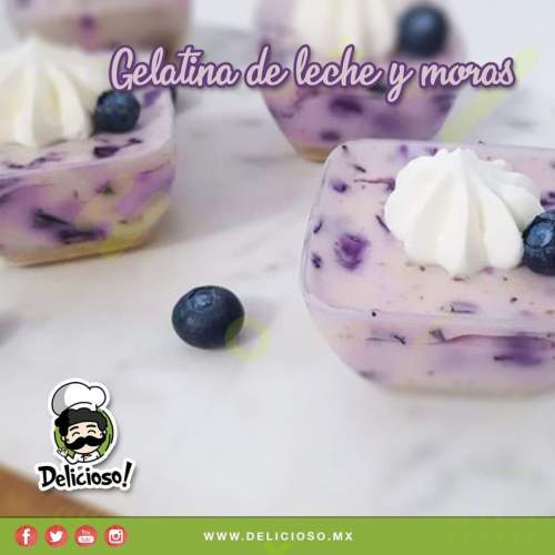 Gelatina de Leche con Salsa de Moras (Postre Bicolor)